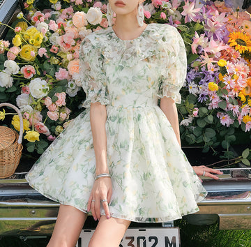 Mesh Jacquard Printed dress dress Women's Puff Sleeve Mesh Profile Printed Skirt
